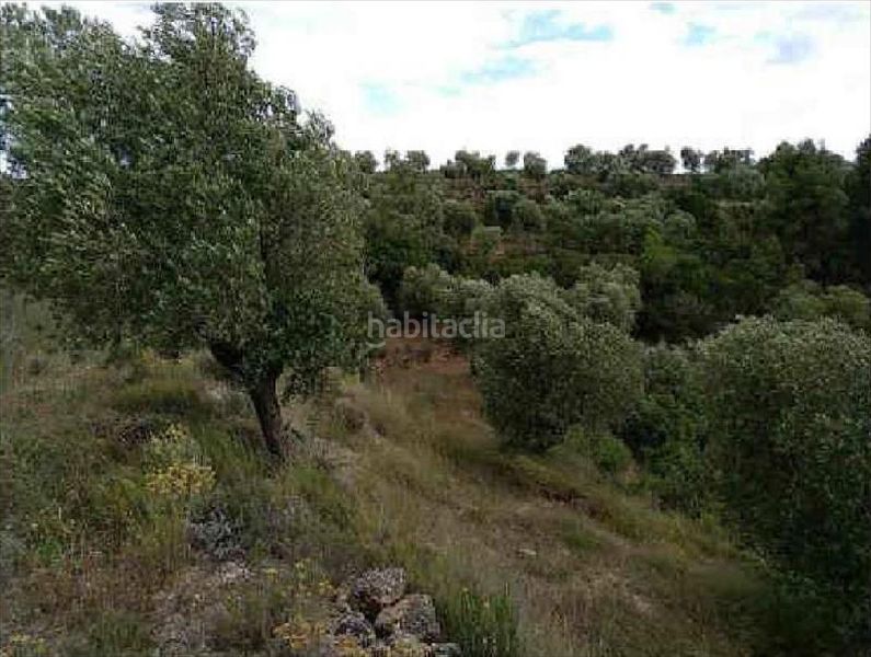 Foto e0fe7af1-01a1-49d0-b259-a4c80361e248. Finca rústica en Bovera