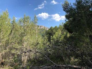 Propriété à Cornudella de Montsant