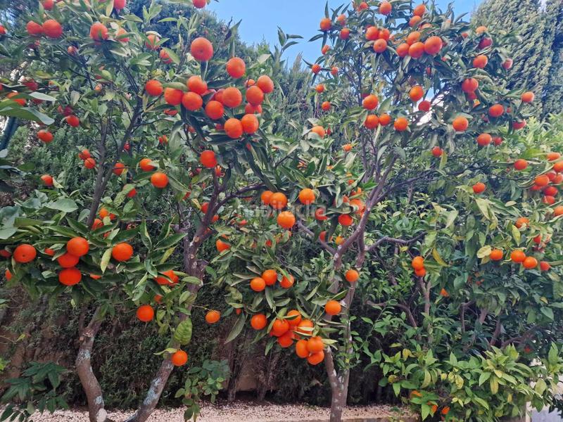Foto ce315ec5-1760-4893-a71c-e5cb796d14f3. Chalet avec chauffage piscine dans Cumbre del Sol Poble Nou de Benitatxell (el)