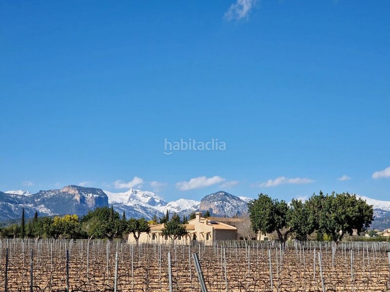 Foto cbf0f93f-0f70-4d19-abd4-e3db43fde9d3. Masia amb calefacció piscina a Sencelles