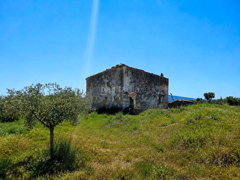Foto cf43ad88-1a7c-4910-b2b8-175bf92f104f. Masia amb calefacció piscina a Sencelles