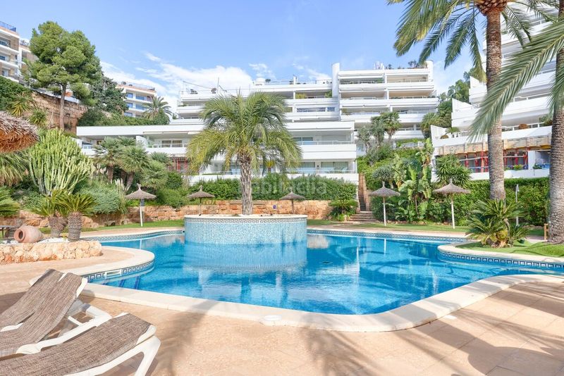 Foto 02706711-ddb7-4a66-91cf-b8cea678a2aa. Apartament amb aparcament piscina a Calvià poble Calvià