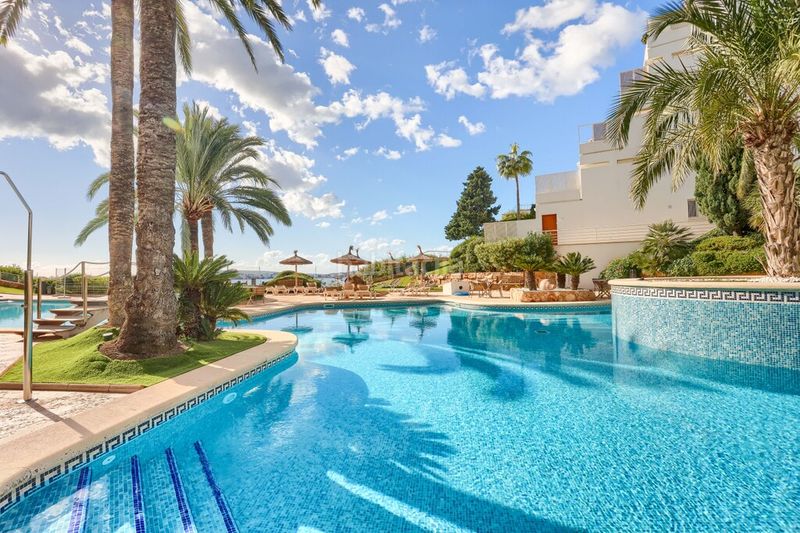 Foto 87441609-dbb1-44a6-a73d-6f441e6db9e8. Apartament amb aparcament piscina a Calvià poble Calvià
