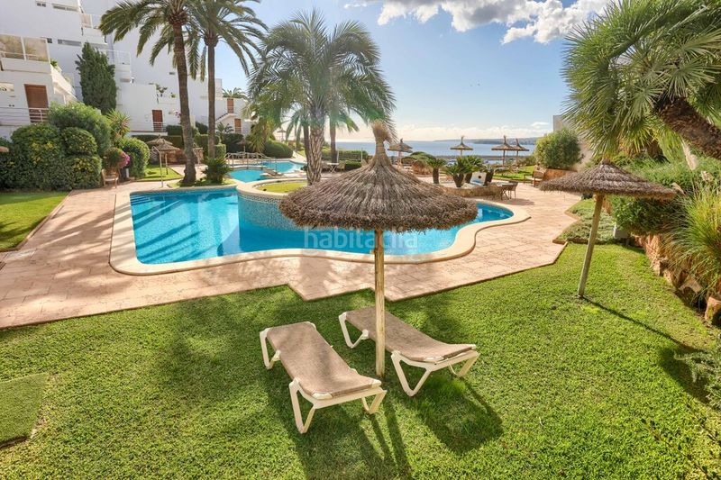Foto a033f70a-40c8-490e-b401-4eb529fbbd38. Apartament amb aparcament piscina a Calvià poble Calvià