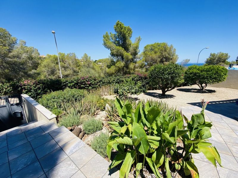 Foto 0c5fb602-c1f9-44fe-9537-104647a44efd. Xalet amb piscina a Sol de Mallorca Calvià