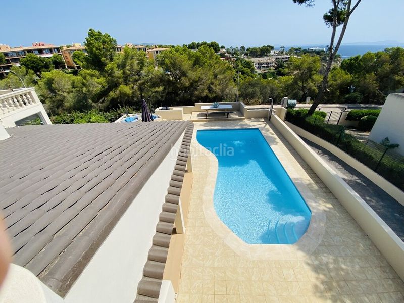 Foto 945e9cf0-b69c-43b0-b532-383293c1f4dc. Xalet amb piscina a Sol de Mallorca Calvià