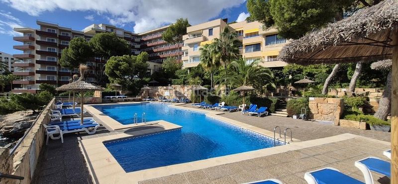 Foto 37506687-1ba6-4f0f-aa9a-443fe5ad8c8b. Apartament amb piscina a Calvià poble Calvià