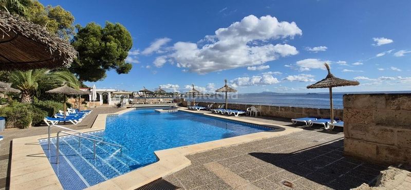 Foto a459b72b-601d-445b-96df-a8ac09c9762c. Apartament amb piscina a Calvià poble Calvià