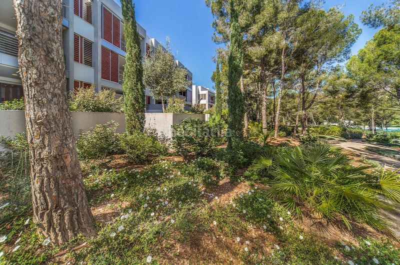 Foto 037a3936-818d-48b3-8981-89dd4b745e25. Apartament amb aparcament piscina a Portals Nous Calvià