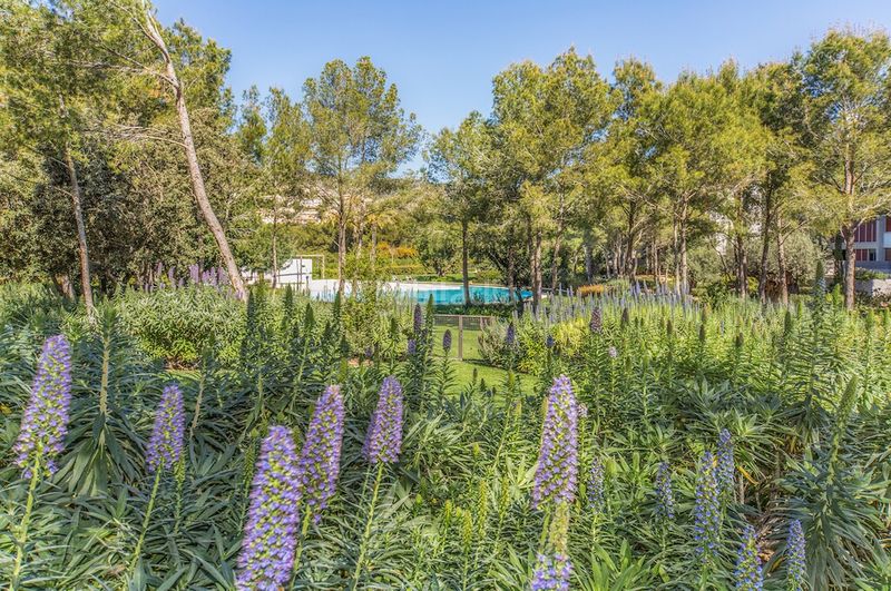 Foto b0f7845c-d2fe-4cdd-b476-faa4ae197820. Apartament amb aparcament piscina a Portals Nous Calvià