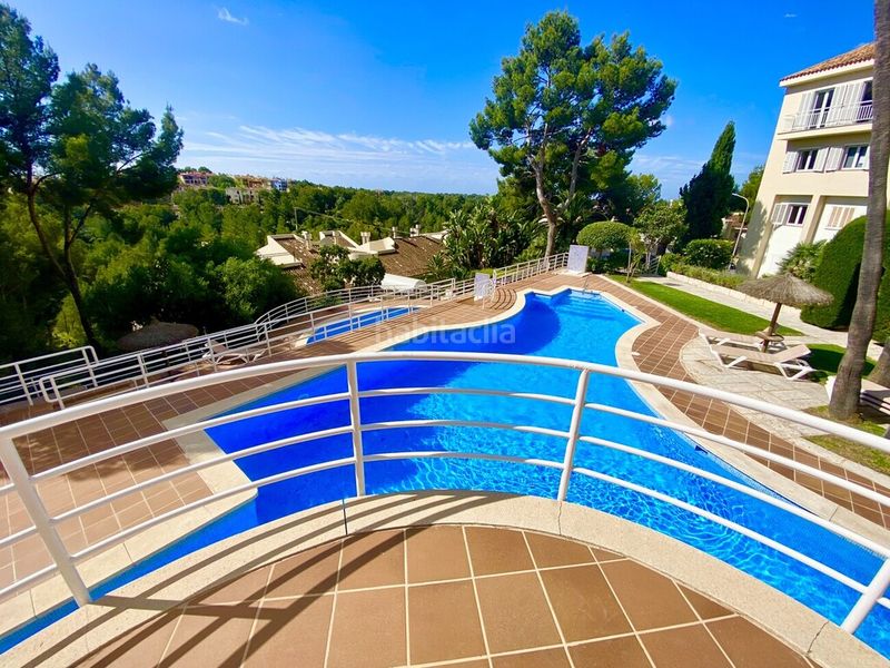 Foto ccddc0dd-34aa-4450-950d-b170420abfdb. Àtic amb piscina a Calvià poble Calvià