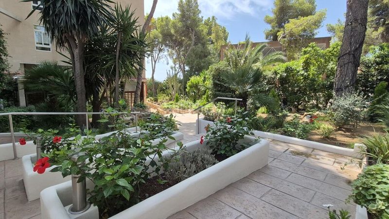 Foto 6761873f-0ac5-416f-9e5e-572bf0c82ef5. Apartament amb piscina a Cas Català-Illetes Calvià