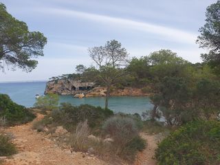 Masia a Calvià Poble. Encantadora casa de piedra situada en portals vells