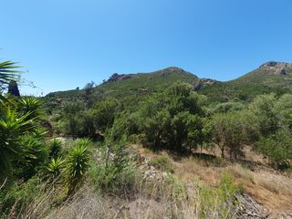 Masia a Andratx. Oportunidad de inversión finca de estilo rural tradicional