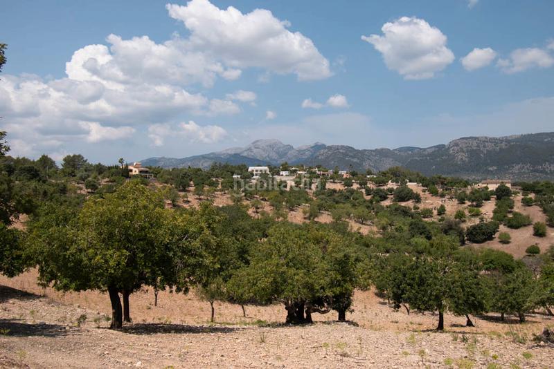 Foto c440a406-405a-46ac-bd52-377129de53cd. Chalet with parking in Campanet