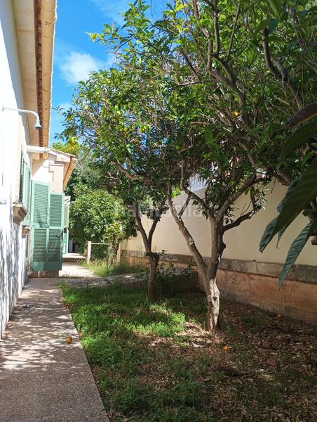 Foto 8dfdb6d5-998f-4109-a695-f36534d739fc. Chalet con riscaldamento parcheggio in Bacarés-Manresa-Bonaire Alcúdia