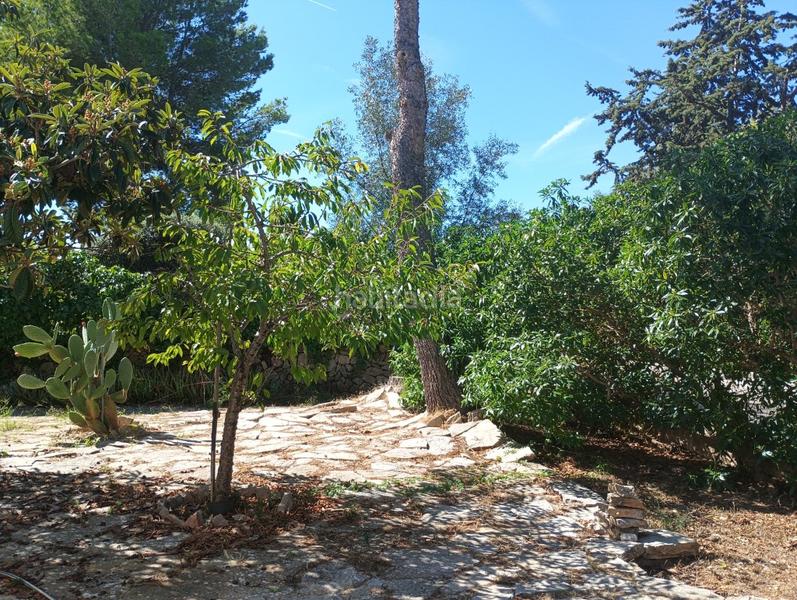 Foto d8807347-24e8-430a-a1aa-892b50ad575b. Chalet con riscaldamento parcheggio in Bacarés-Manresa-Bonaire Alcúdia