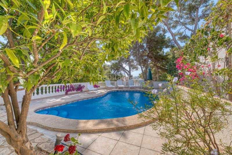 Foto 207bc1a0-c6a3-45b4-8f64-49ee28fe45ae. Chalet mit parking pool in Santa Ponça Calvià