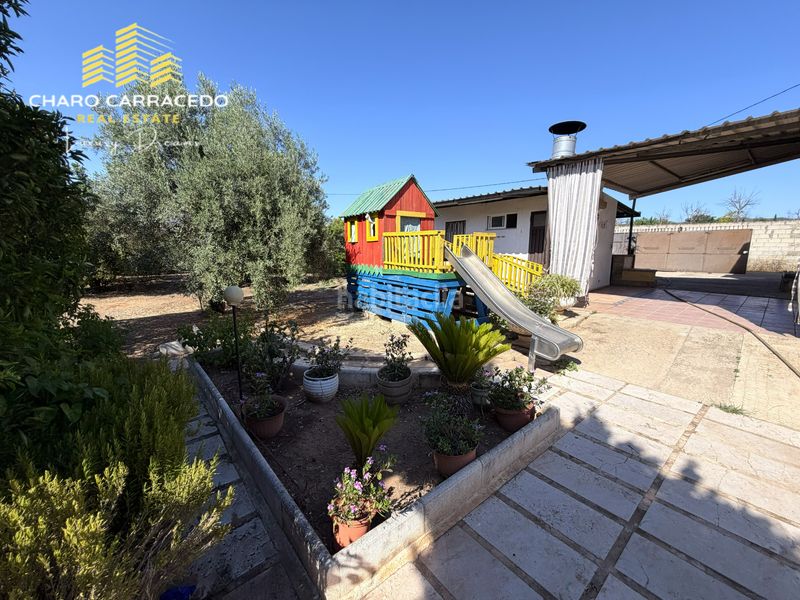 Foto dd33ca11-dc79-4913-a083-a866eb9a7cb9. Casa amb aparcament piscina a Carcaixent