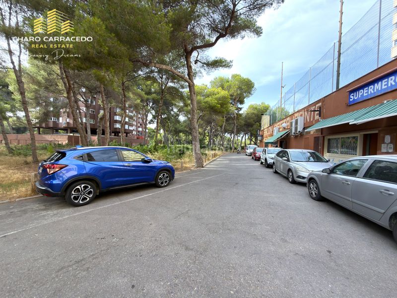 Foto c502e167-dd29-4b4c-aeb0-fea48ac1c50a. Autoparkplatz in El Saler Valencia