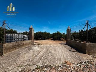 Finca rústica  Camí de la murta-ombria. Finca de naranjos en venta – un rincón de paz en la huerta valen