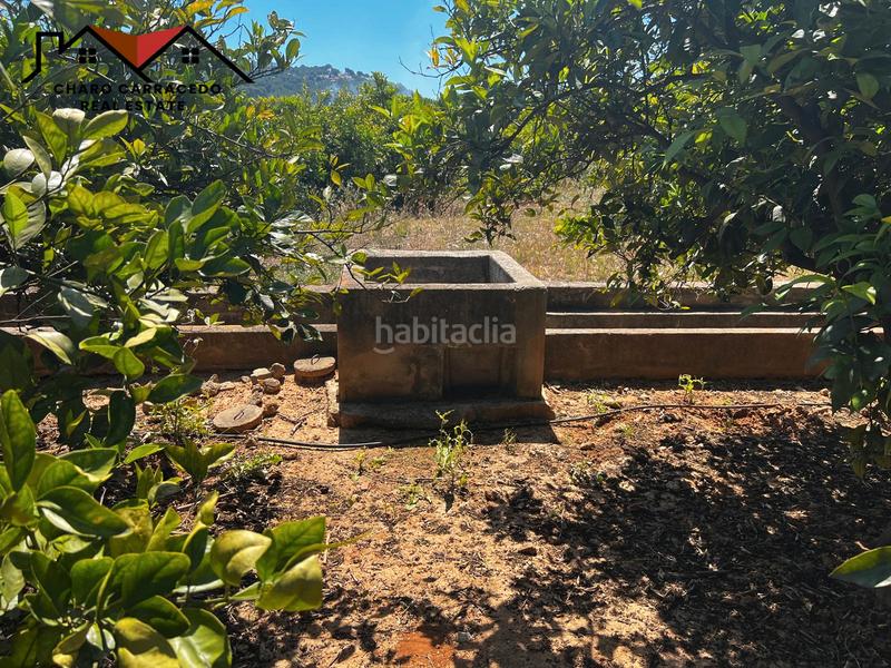 Foto 00a1bb84-b11f-423b-adfc-031156c95f3c. Propriété dans Urbanitzacions i Pedanies Nord Alzira