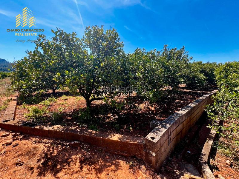 Foto 09931ce1-c98f-4701-9199-31a93d7128cf. Propriété dans Urbanitzacions i Pedanies Nord Alzira