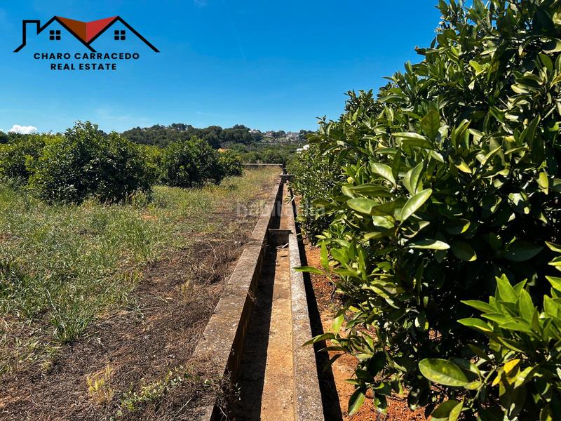 Foto 25080cce-b630-4de9-8d4c-ac41dcdae25b. Propriété dans Urbanitzacions i Pedanies Nord Alzira