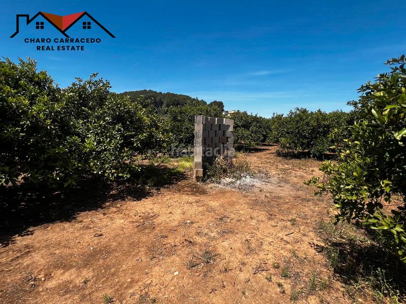 Foto 35a2fcc6-5559-4437-b520-c290d2f3f21a. Propriété dans Urbanitzacions i Pedanies Nord Alzira