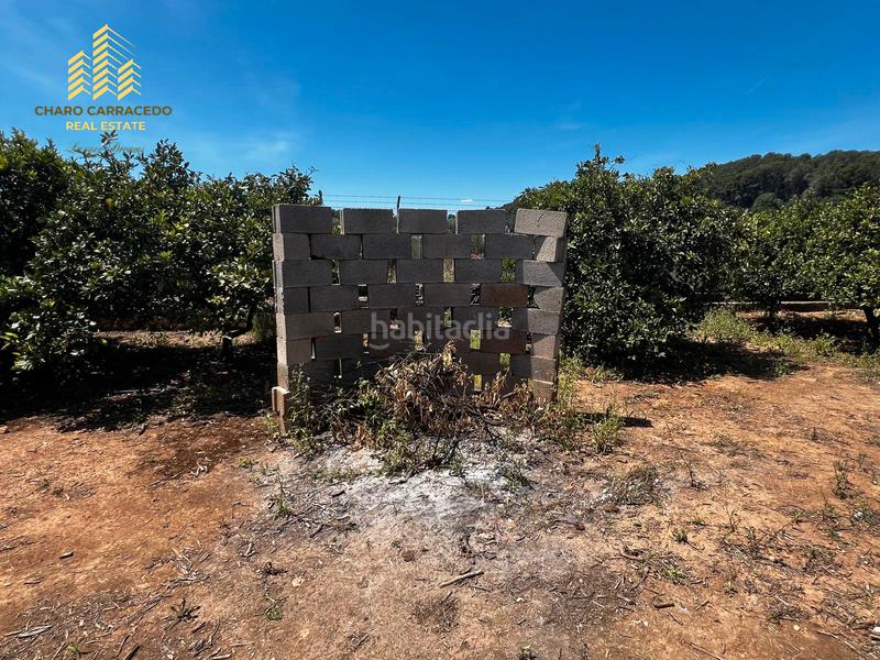 Foto 401ab800-ebf9-4eb0-87b2-9da10c0ef658. Propriété dans Urbanitzacions i Pedanies Nord Alzira