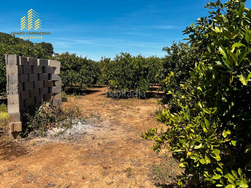 Foto 582d5f44-f10e-48ca-8a79-6077111ec0a3. Propriété dans Urbanitzacions i Pedanies Nord Alzira