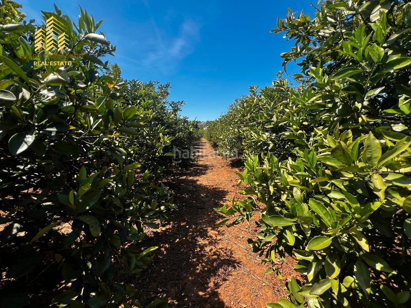 Foto 6d307dae-bee7-44c3-9c03-0efac4f380ac. Propriété dans Urbanitzacions i Pedanies Nord Alzira