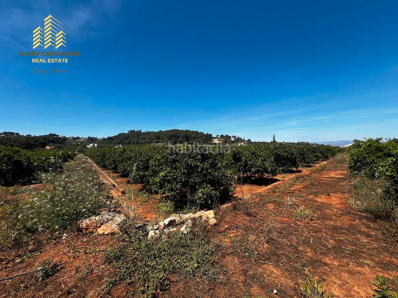 Foto 7117d197-8424-451d-a45f-2e50598eae10. Propriété dans Urbanitzacions i Pedanies Nord Alzira