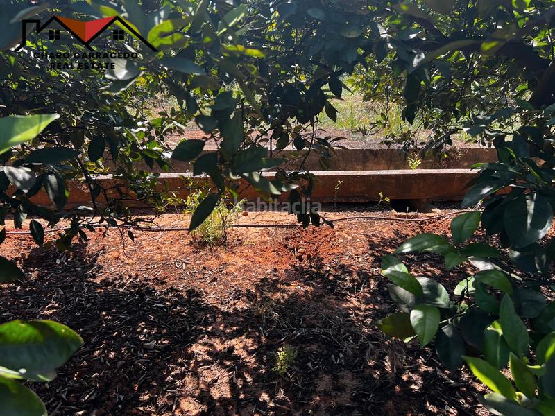 Foto 79540408-50cb-456b-9ec1-4a1c65b9748b. Propriété dans Urbanitzacions i Pedanies Nord Alzira