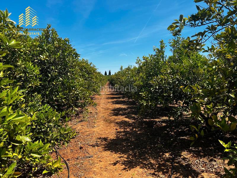 Foto 7ca32762-b032-4296-9122-0954eb05a1ca. Propriété dans Urbanitzacions i Pedanies Nord Alzira