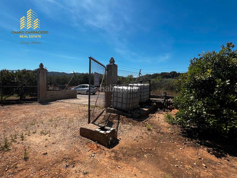 Foto 7efd8e38-e621-40be-b6b8-7bdeb04aaa1f. Propriété dans Urbanitzacions i Pedanies Nord Alzira