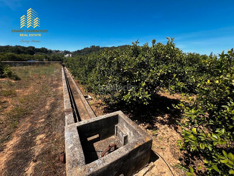 Foto 830b3a1f-b2a0-4362-835a-f6d7e315313d. Propriété dans Urbanitzacions i Pedanies Nord Alzira