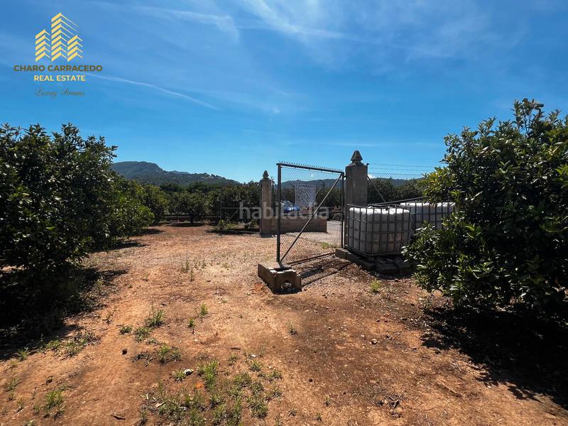 Foto 9cb89fc3-d6a6-4023-8864-0d480fe730dc. Propriété dans Urbanitzacions i Pedanies Nord Alzira