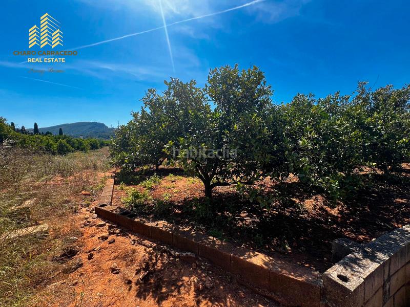 Foto a4139903-c591-4c13-ac4b-6eb96ffa46cf. Propriété dans Urbanitzacions i Pedanies Nord Alzira