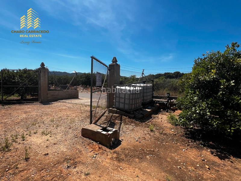 Foto ce729779-90ef-4619-ac5f-8e9633314ee2. Propriété dans Urbanitzacions i Pedanies Nord Alzira