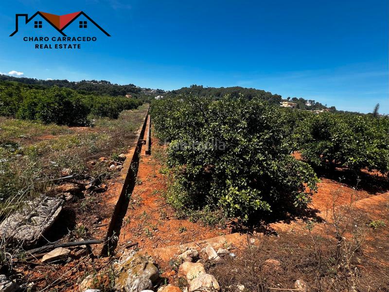 Foto cfa0b19c-f200-489b-a788-a3e5955a905a. Propriété dans Urbanitzacions i Pedanies Nord Alzira