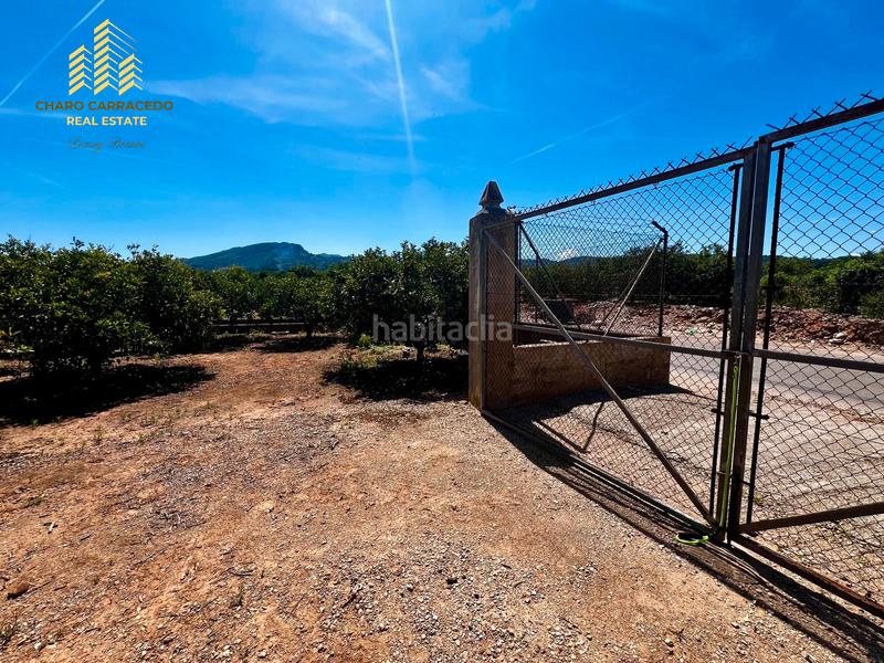 Foto d6ee1e6e-ae85-4333-bfff-32ed176aa691. Propriété dans Urbanitzacions i Pedanies Nord Alzira