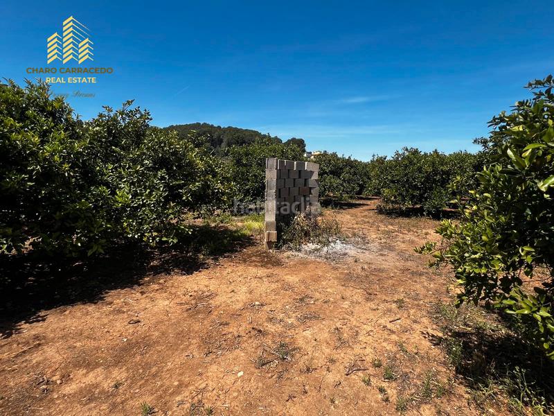 Foto fd6885f2-932d-4178-9847-87297e72dfe5. Propriété dans Urbanitzacions i Pedanies Nord Alzira