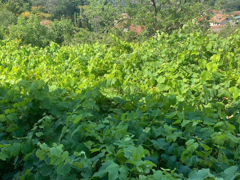 Foto 0d9bcc5a-ab2f-452e-87d0-82d6558dcf27. Casa in n/a in Tomiño