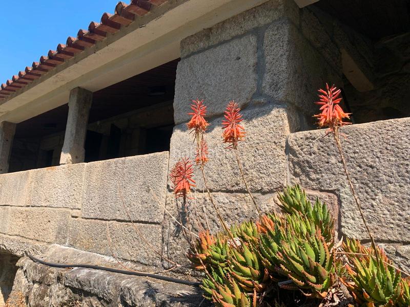 Foto 36c2d503-e8de-457d-adee-45c554f0652a. Casa in n/a in Tomiño