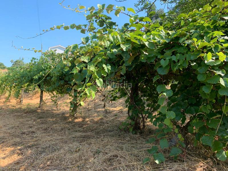 Foto a7aecddc-e4b1-4b0f-86b4-27263113119c. Casa in n/a in Tomiño