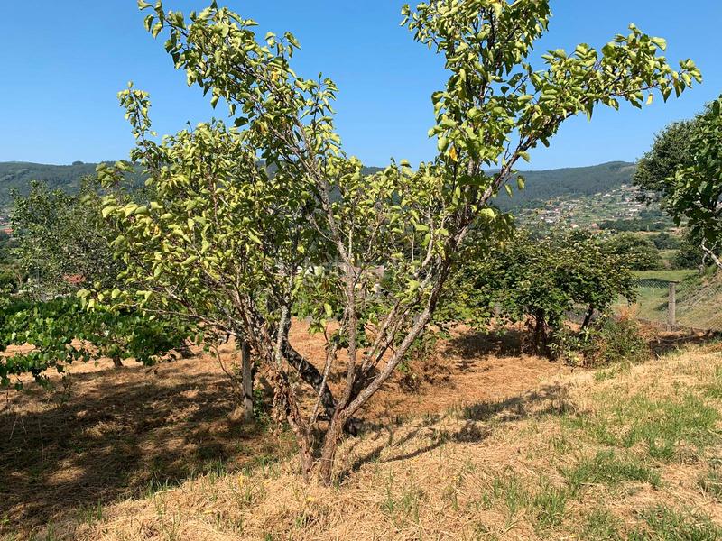 Foto e6c236a5-47b3-4f44-a9b7-bf66a76780bd. Casa in n/a in Tomiño