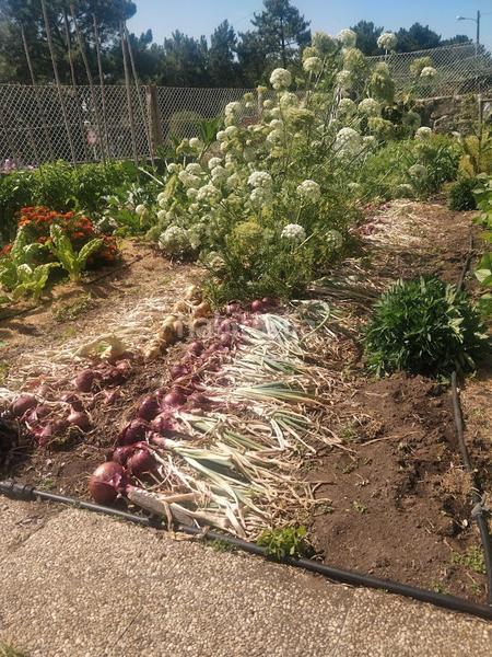 Foto e74cfe74-c7e9-4bae-87e1-0b02e85c3d2d. Chalet in camiño das cubelas 8 in Rosal (O)