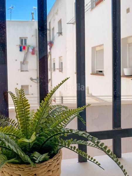 Foto 7609c5d5-1f8a-4206-a30c-ef87b0b1a6b7. Pis a El Pilar Albacete