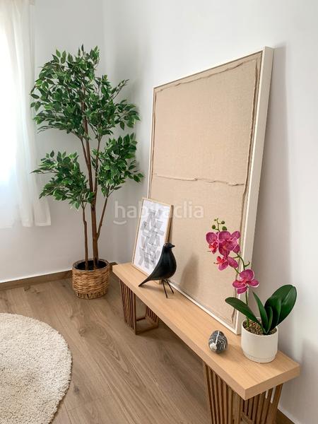 Foto 969a965c-980d-46fd-aa57-9514686a7076. Pis a El Pilar Albacete